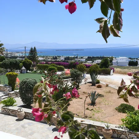 אורחן Dryades Family